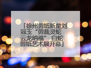 徐州剪纸新星刘冠玉“剪裁灵蛇 云龙纳福” 白蛇剪纸艺术展开幕