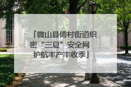 微山县傅村街道织密“三夏”安全网 护航丰产丰收季