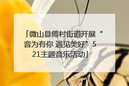 微山县傅村街道开展“音为有你 遇见美好”521主题音乐活动