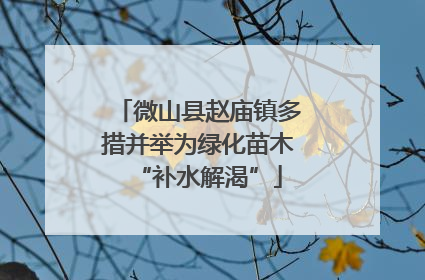 微山县赵庙镇多措并举为绿化苗木“补水解渴”
