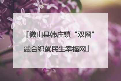 微山县韩庄镇“双圈”融合织就民生幸福网
