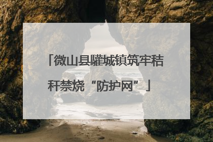微山县驩城镇筑牢秸秆禁烧“防护网”