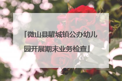 微山县驩城镇公办幼儿园开展期末业务检查