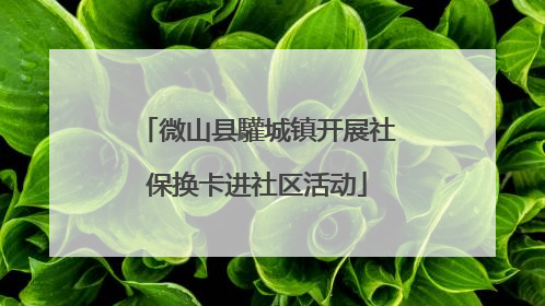 微山县驩城镇开展社保换卡进社区活动
