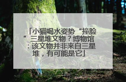 小猫喝水姿势“撞脸”三星堆文物？博物馆：该文物并非来自三星堆，有可能是它