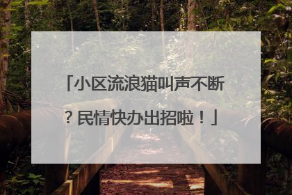 小区流浪猫叫声不断？民情快办出招啦！