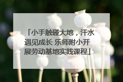 小手触碰大地，汗水遇见成长 乐师附小开展劳动基地实践课程