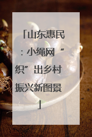 山东惠民：小绳网“织”出乡村振兴新图景