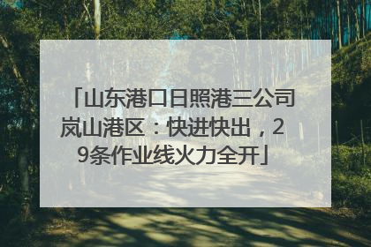 山东港口日照港三公司岚山港区：快进快出，29条作业线火力全开