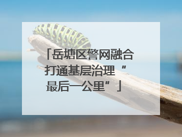 岳塘区警网融合 打通基层治理“最后一公里”