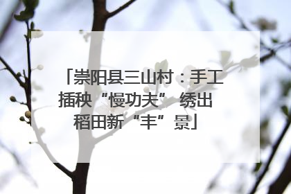 崇阳县三山村：手工插秧“慢功夫” 绣出稻田新“丰”景