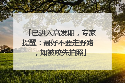 已进入高发期，专家提醒：最好不要走野路，如被咬先拍照