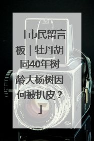 市民留言板｜牡丹胡同40年树龄大杨树因何被扒皮？