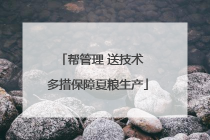 帮管理 送技术 多措保障夏粮生产