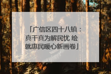 广信区四十八镇:真干真为解民忧 绘就惠民暖心新画卷