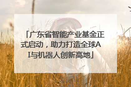 广东省智能产业基金正式启动，助力打造全球AI与机器人创新高地