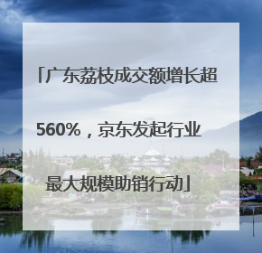 广东荔枝成交额增长超560%，京东发起行业最大规模助销行动