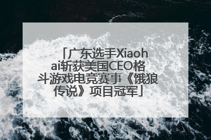 广东选手Xiaohai斩获美国CEO格斗游戏电竞赛事《饿狼传说》项目冠军