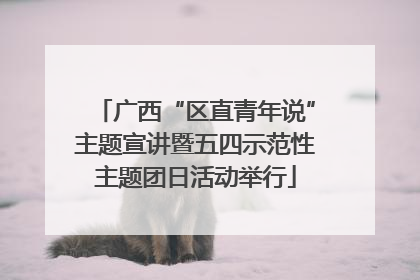 广西“区直青年说”主题宣讲暨五四示范性主题团日活动举行