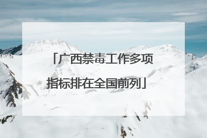 广西禁毒工作多项指标排在全国前列