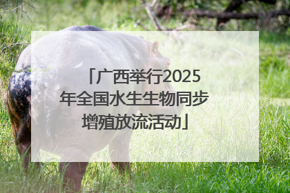 广西举行2025年全国水生生物同步增殖放流活动
