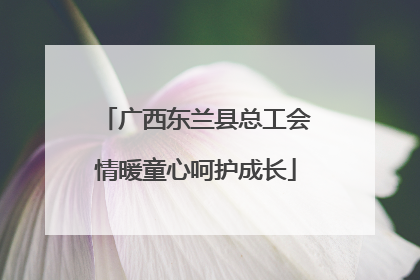 广西东兰县总工会情暖童心呵护成长