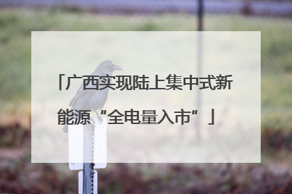 广西实现陆上集中式新能源“全电量入市”