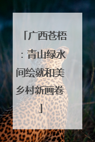 广西苍梧：青山绿水间绘就和美乡村新画卷