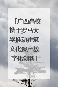 广西高校携手罗马大学推动建筑文化遗产数字化创新