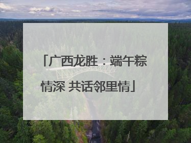 广西龙胜：端午粽情深 共话邻里情