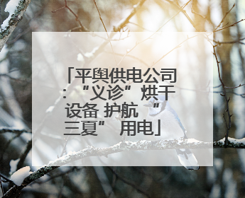 平舆供电公司：“义诊”烘干设备 护航 “三夏” 用电