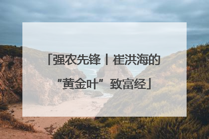 强农先锋丨崔洪海的“黄金叶”致富经