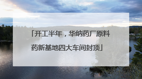 开工半年，华纳药厂原料药新基地四大车间封顶