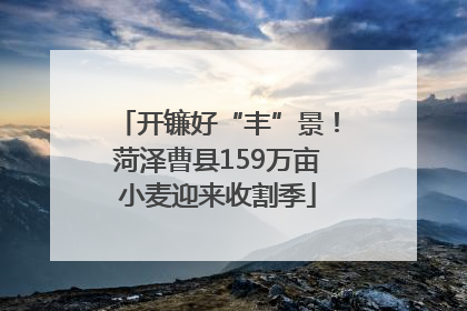 开镰好“丰”景！菏泽曹县159万亩小麦迎来收割季