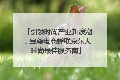 引领时尚产业新浪潮，宝尊电商蝉联京东大时尚最佳服务商