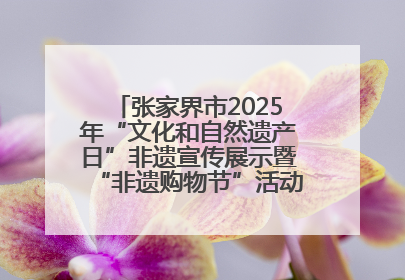 张家界市2025年“文化和自然遗产日”非遗宣传展示暨“非遗购物节”活动在慈利县盛大启幕