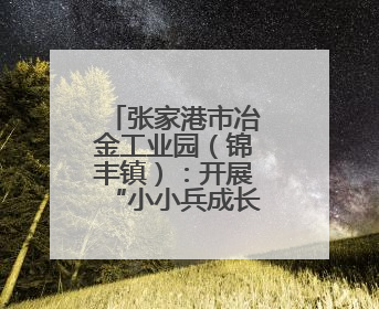 张家港市冶金工业园（锦丰镇）：开展“小小兵成长季——勇敢挑战营”国防启蒙教育活动