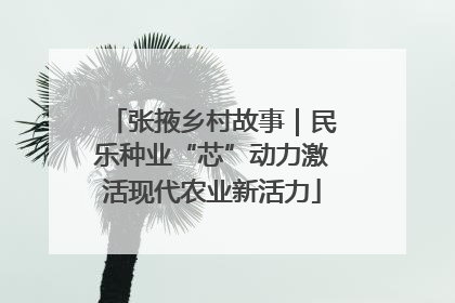 张掖乡村故事｜民乐种业“芯”动力激活现代农业新活力