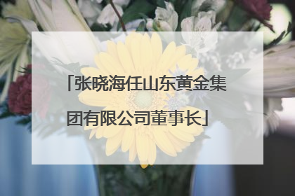张晓海任山东黄金集团有限公司董事长