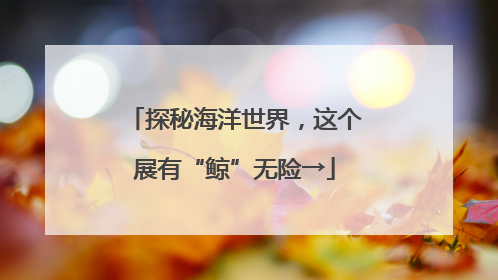 探秘海洋世界，这个展有“鲸”无险→