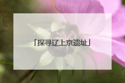 探寻辽上京遗址