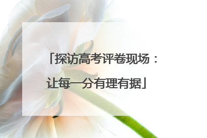 探访高考评卷现场：让每一分有理有据