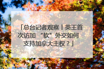 总台记者观察丨英王首次访加 “软”外交如何支持加拿大主权？