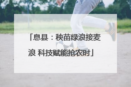 息县：秧苗绿浪接麦浪 科技赋能抢农时