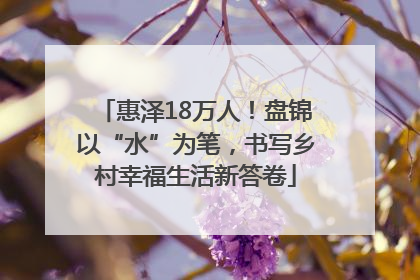 惠泽18万人！盘锦以“水”为笔，书写乡村幸福生活新答卷