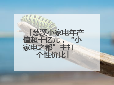 慈溪小家电年产值超千亿元，“小家电之都”主打一个性价比