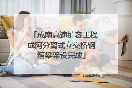 成南高速扩容工程成阿分离式立交桥钢箱梁架设完成