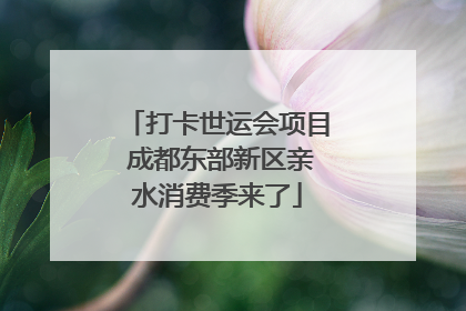 打卡世运会项目 成都东部新区亲水消费季来了