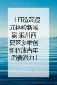 打造沉浸式体验新场景 银川西夏区多维创新释放青年消费潜力