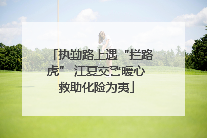 执勤路上遇“拦路虎” 江夏交警暖心救助化险为夷